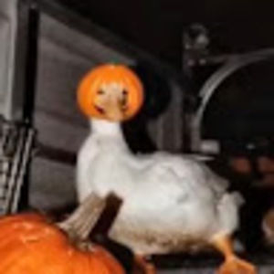 Meet your Posher, April